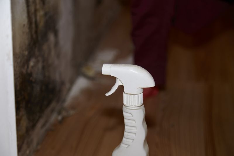 Air Duct Mold Removal in Essex County, NJ
