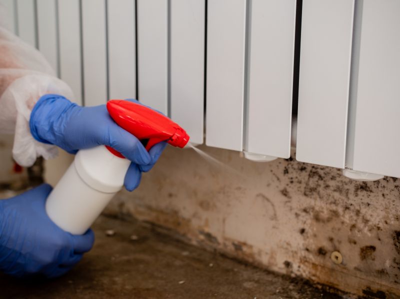 Air Duct Mold Removal in Jupiter, FL