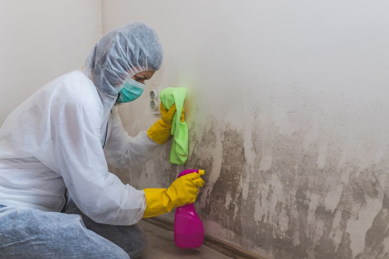 Air Duct Mold Removal in Boca Raton, FL