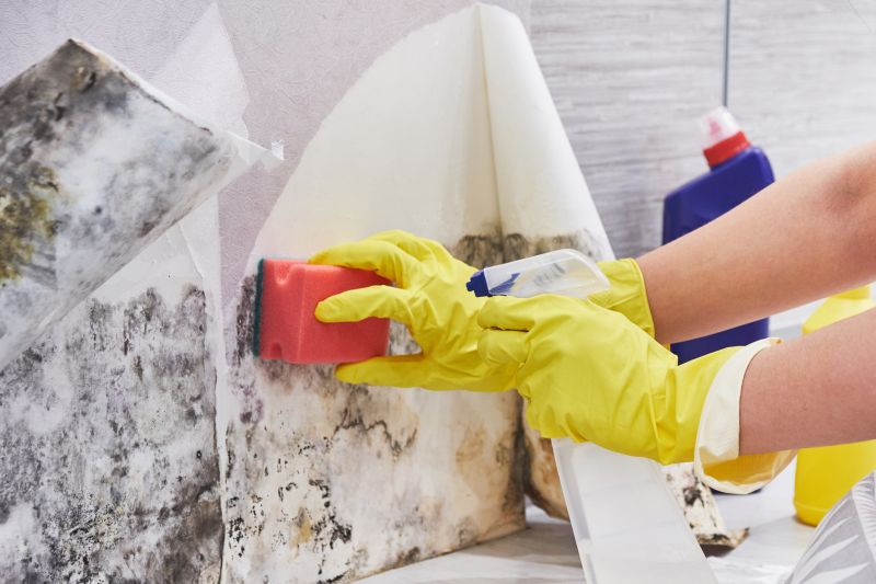 Attic Mold Remediation in Jupiter, FL