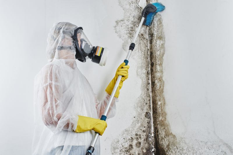 Basement Mold Remediation in Jupiter, FL