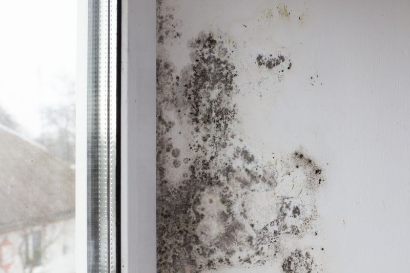 Basement Mold Removal in Essex County, NJ