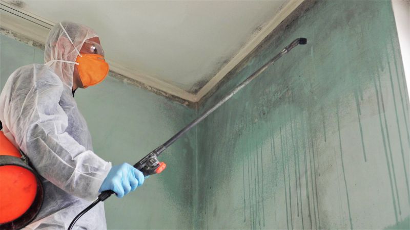 Basement Mold Removal in Boca Raton, FL
