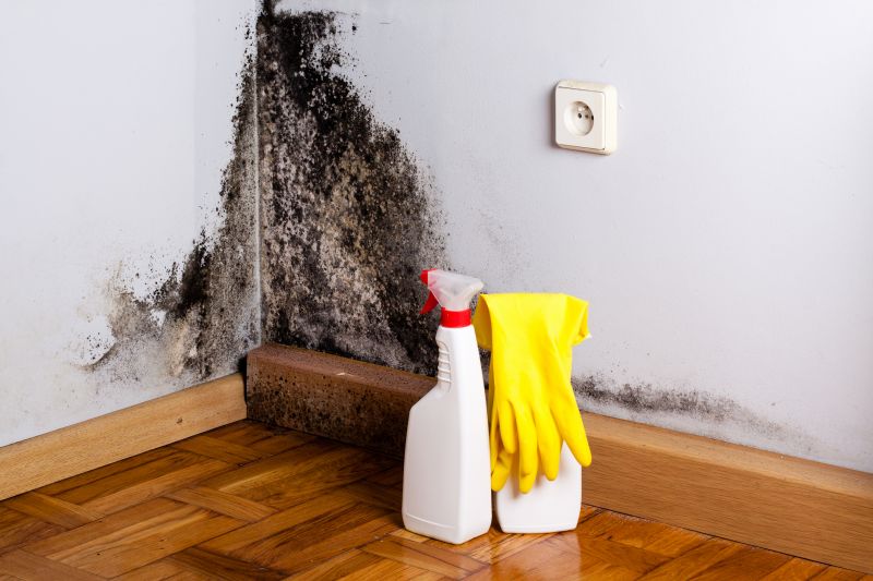 Basement Mold Removal in Frisco, TX