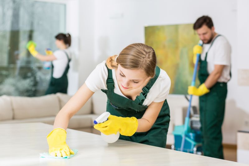 Basement Vacuuming in Bellevue, WA