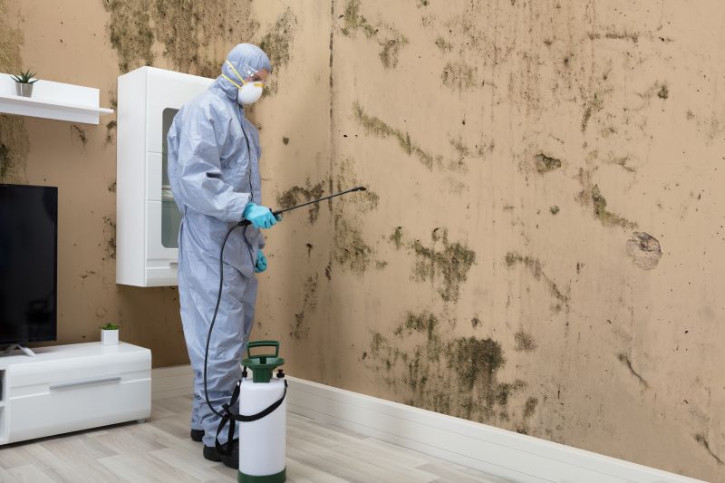 Black Mold Removal in Plano, TX