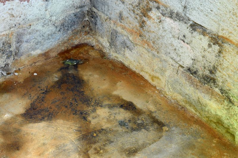 Crawl Space Mold Removal in Fort Lauderdale, FL