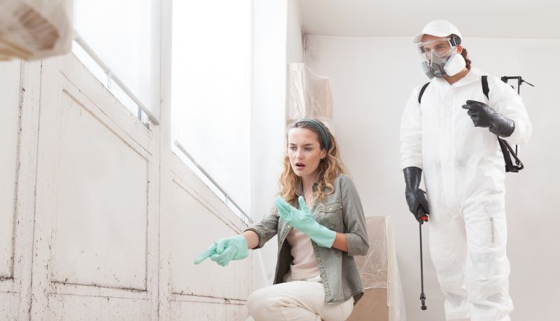 Mold Cleanup Service in Fort Worth, TX