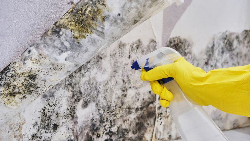 Mold Control in Bergen County, NJ