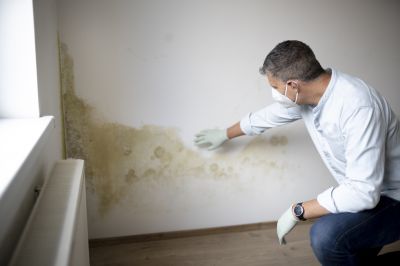 Mold Remediation Service in Dallas, TX