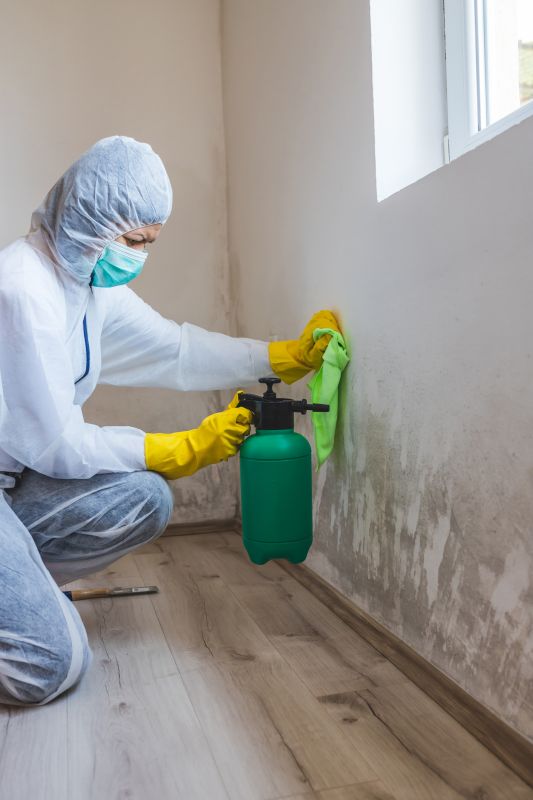 Mold Remediation Service in Boca Raton, FL