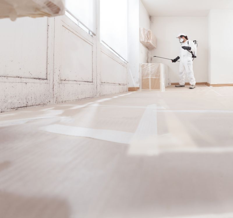 Mold Removal in Frisco, TX