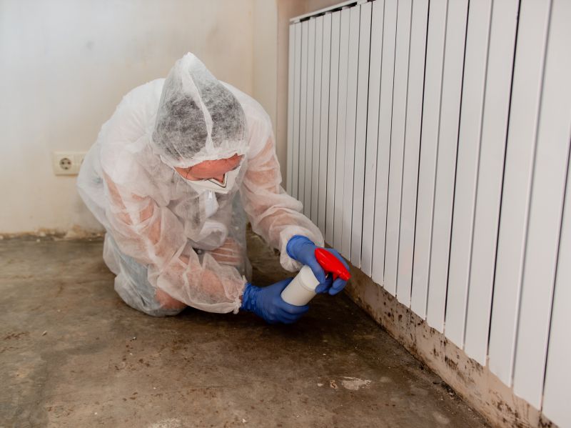 Mold Removal in Bergen County, NJ