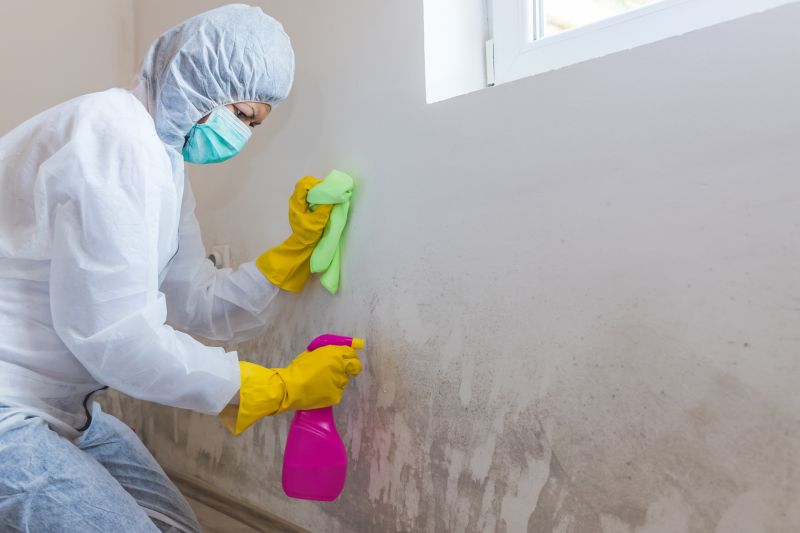 Mold Restoration in Fort Worth, TX