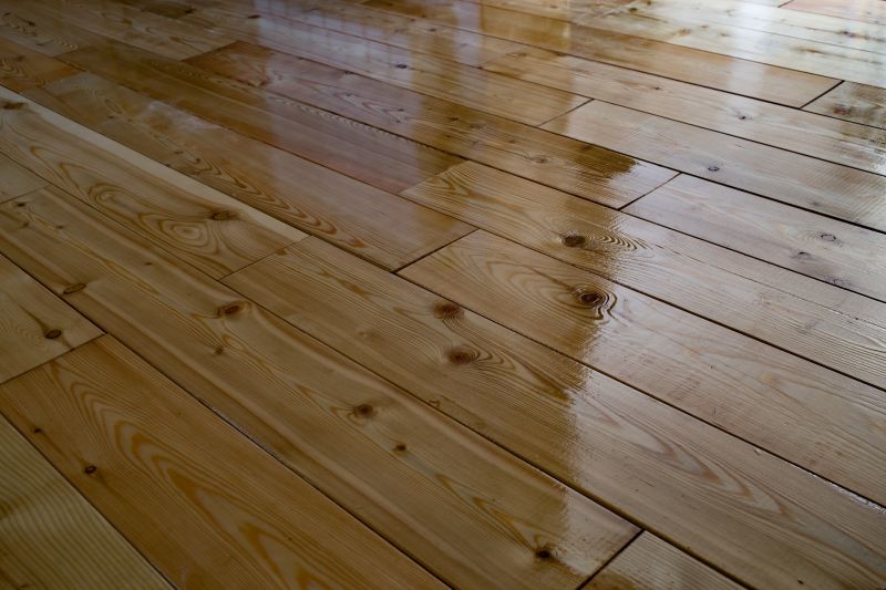Wood Floor Cleaning Service in Madison, WI