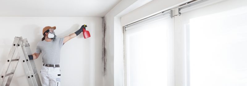 Basement Mold Removal in Fort Lauderdale, FL