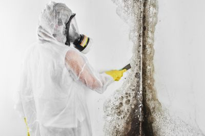 Basement Mold Removal in Boca Raton, FL