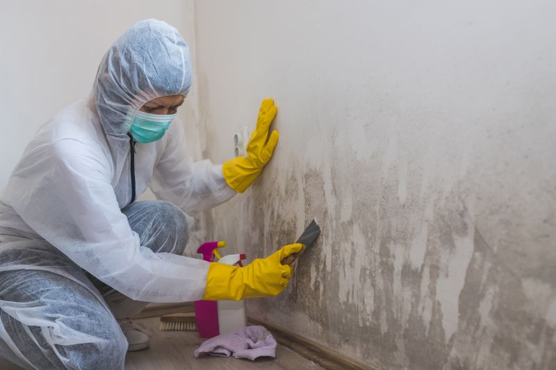 Ceiling Mold Removal in Jupiter, FL