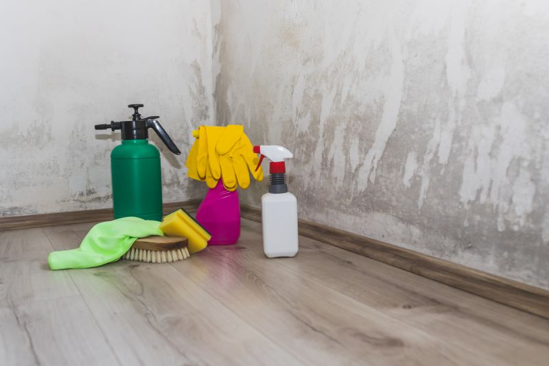 Crawl Space Mold Removal in Jupiter, FL