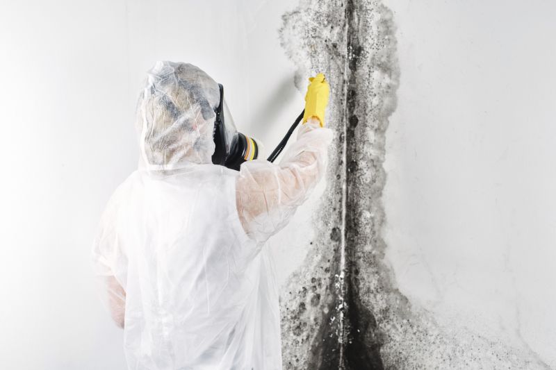 Crawlspace Mold Remediation in Frisco, TX