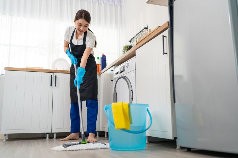 Kitchen Cleaning Service in Renton, WA