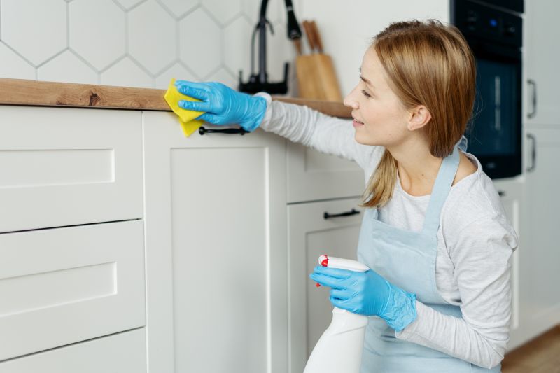 Kitchen Cleaning Service in Kent, WA
